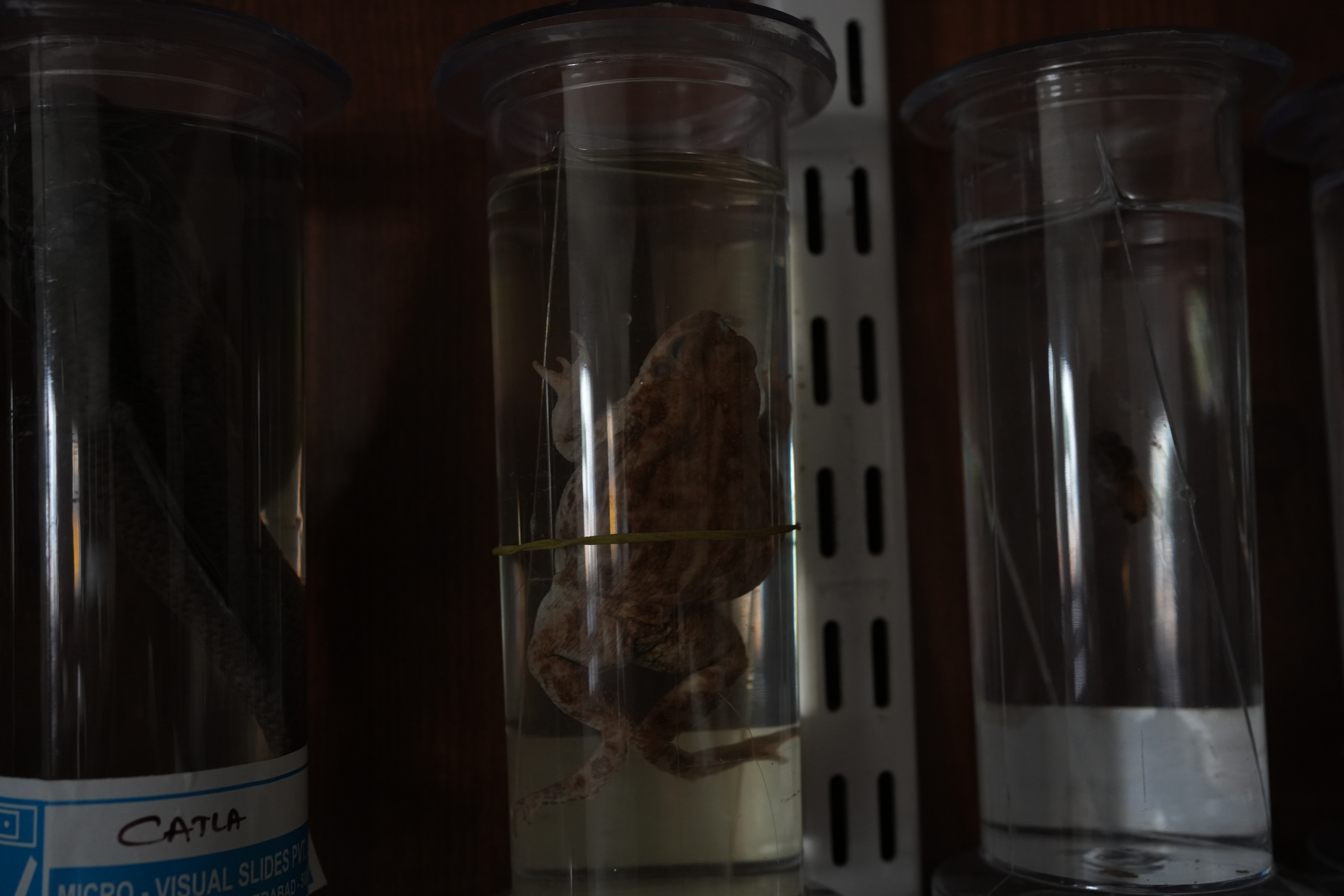 Biology Laboratory - Equipment