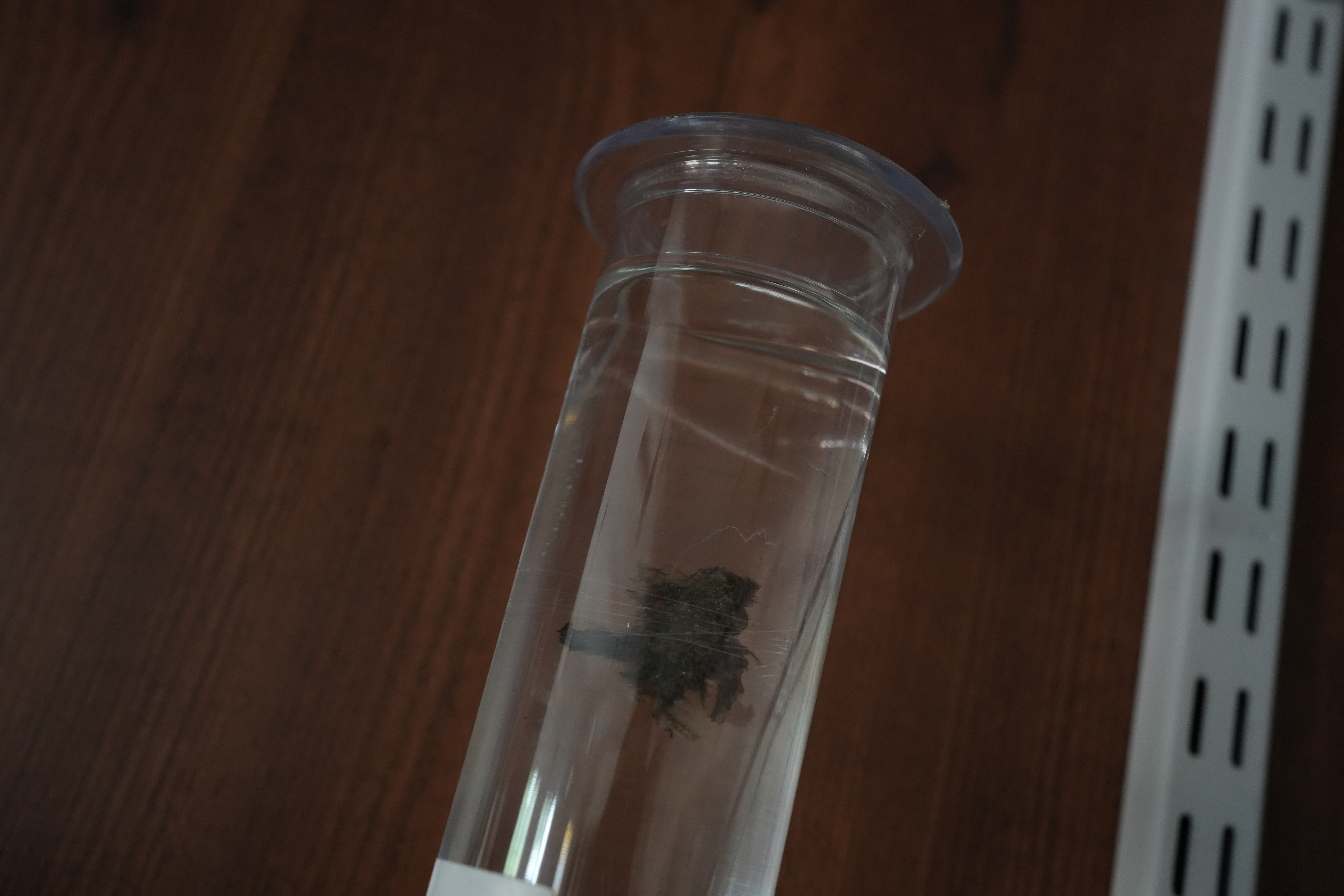 Biology Laboratory - Microscope Station