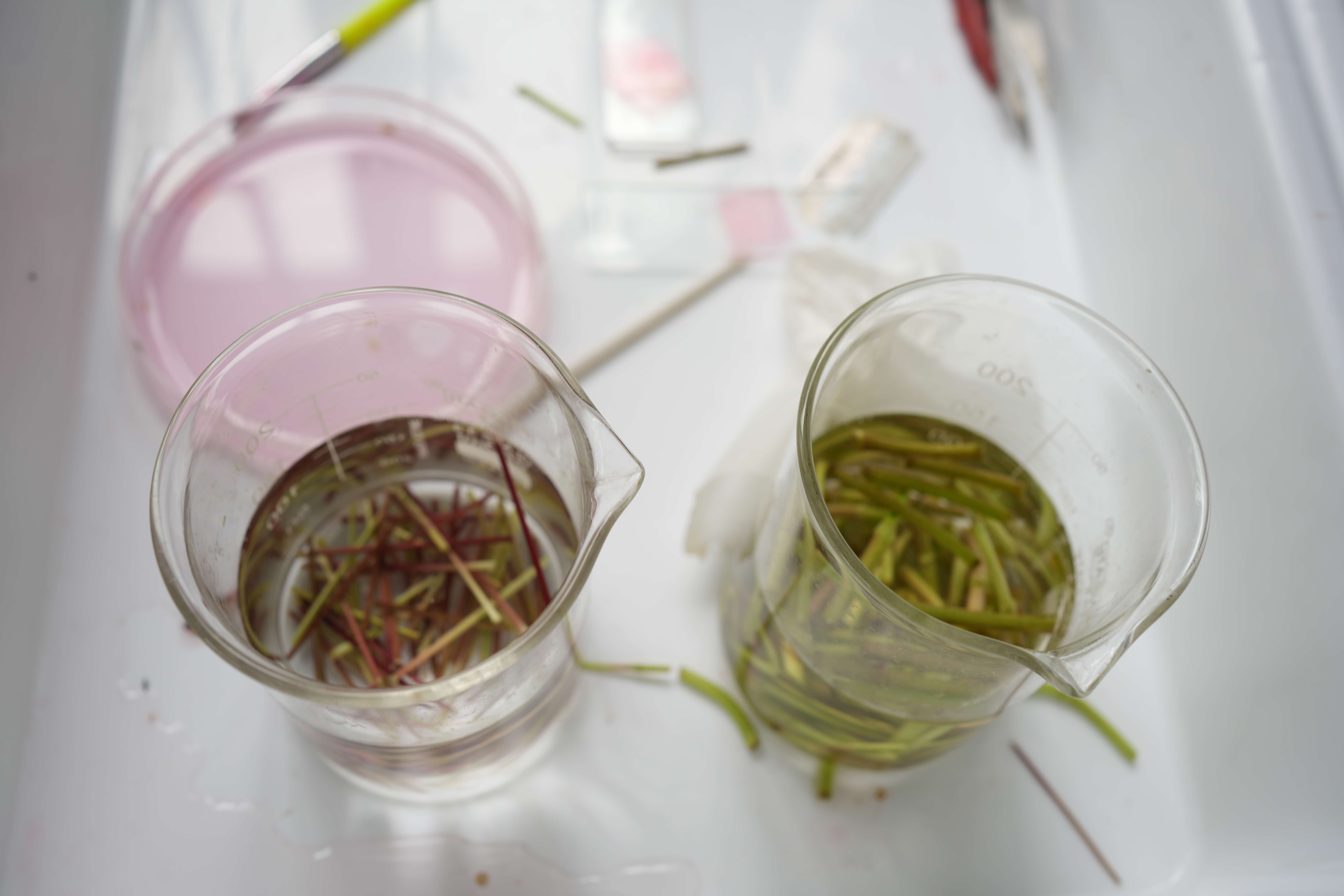 Biology Laboratory - Interior View