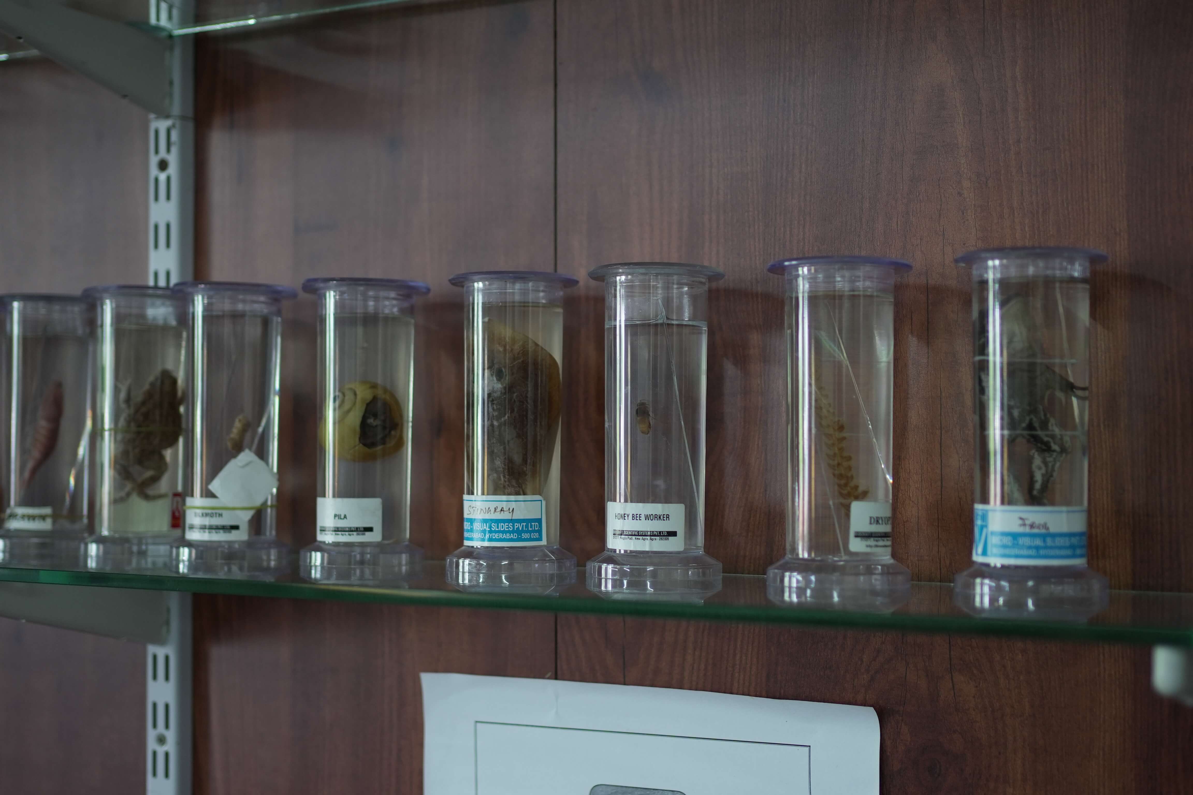 Biology Laboratory - Specimen Closeup