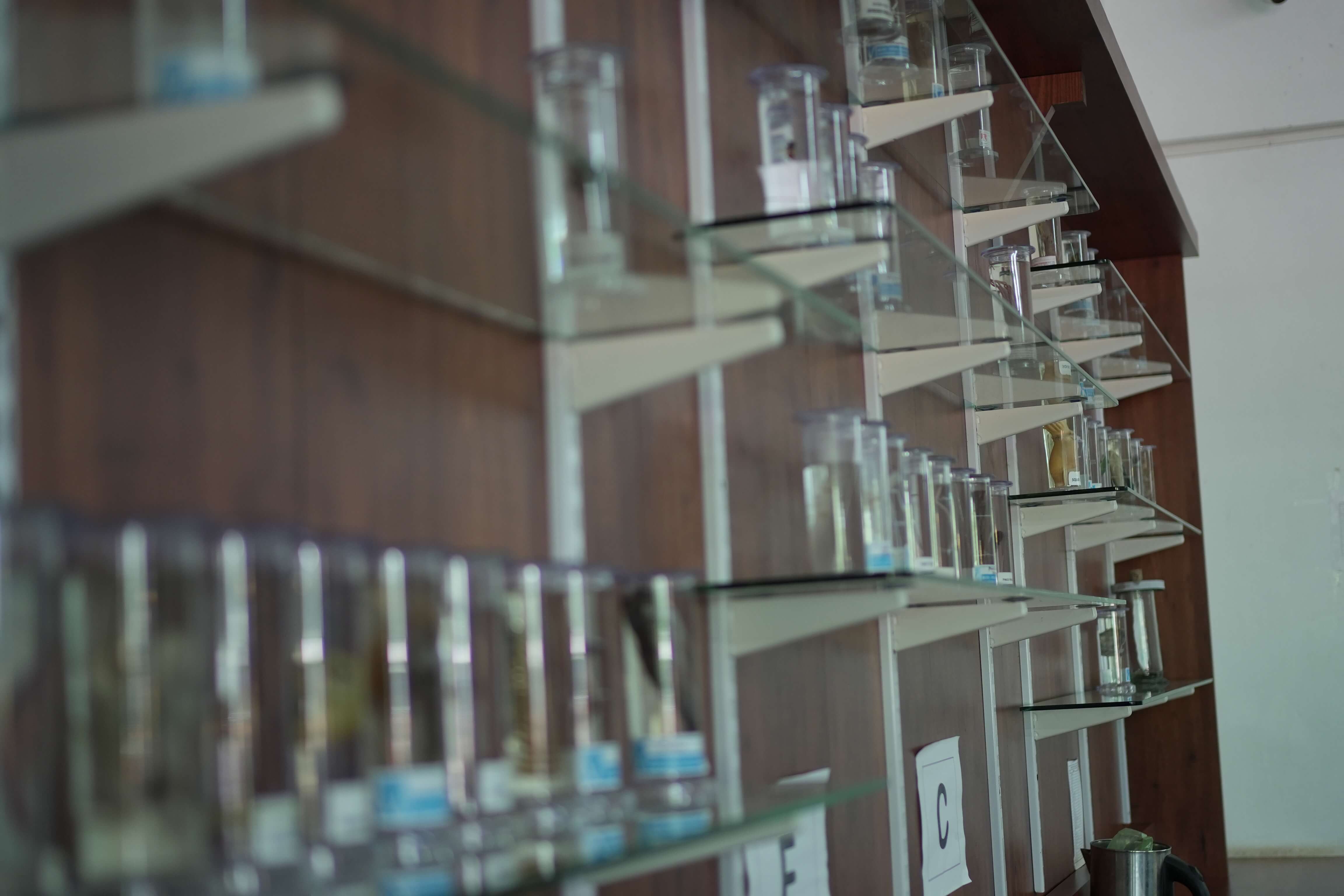 Biology Laboratory - Specimen Rack