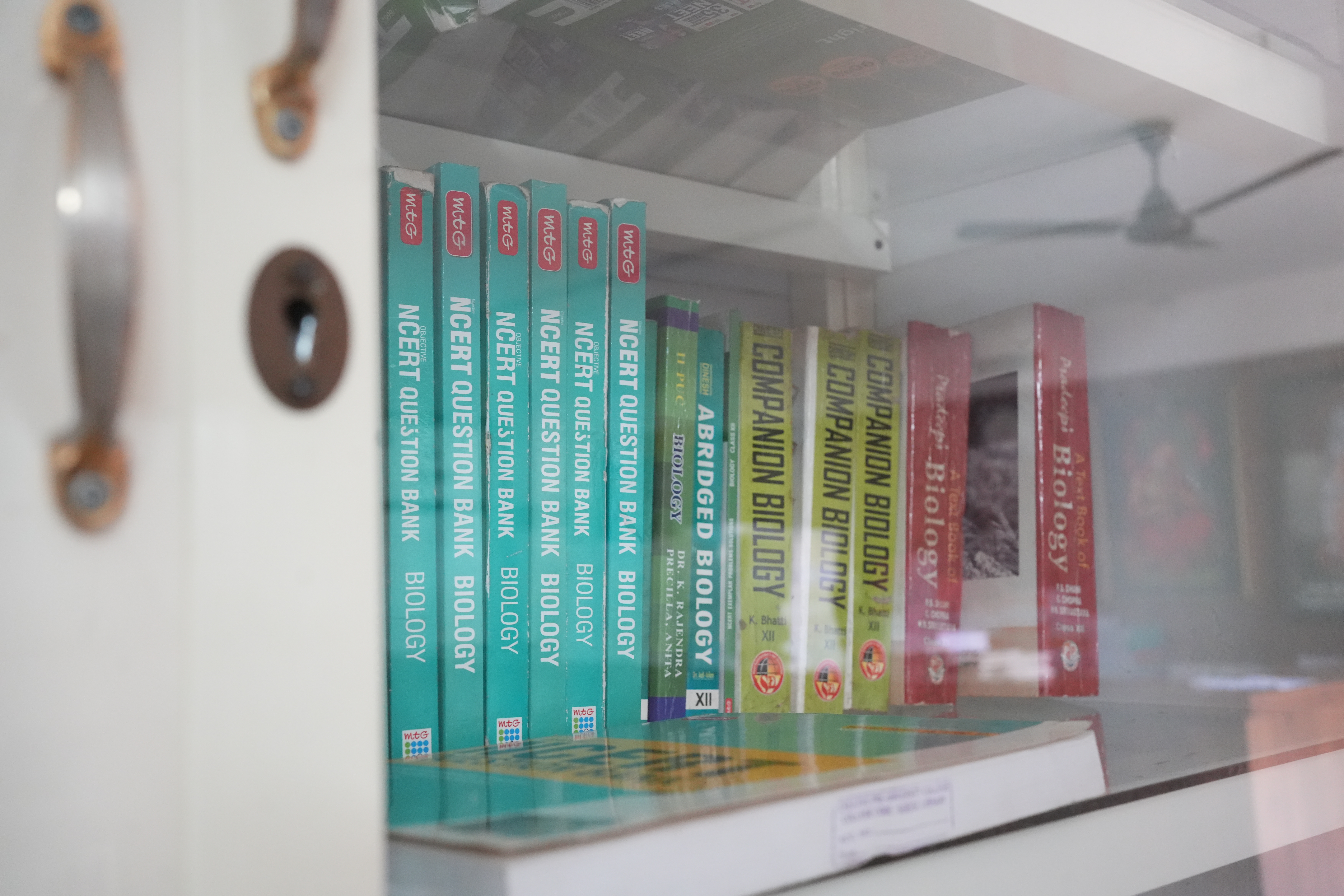 Library - Reading Area